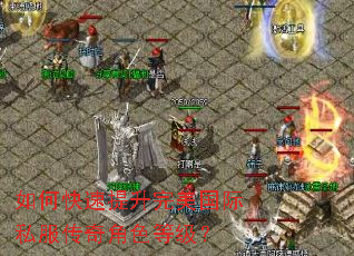如何快速提升完美国际私服传奇角色等级? 如何快速提升完美国际私服传奇角色等级?