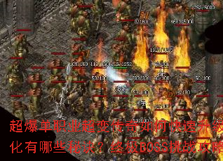 ������ְҵ���䴫����ο���������װ����ȡ��ǿ������Щ�ؾ����ռ�BOSS��ս������ʲô��
