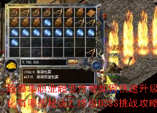 ������ְҵ���䴫����ο���������װ����ȡ��ǿ������Щ�ؾ����ռ�BOSS��ս������ʲô��