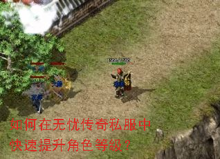 如何在无忧传奇私服中快速提升角色等级? 如何在无忧传奇私服中快速提升角色等级?